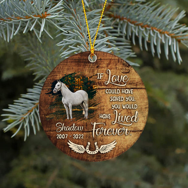 Horse Memorial Ornament Gift - Sympathy Gifts For Loss of Horse Remembrance MC62