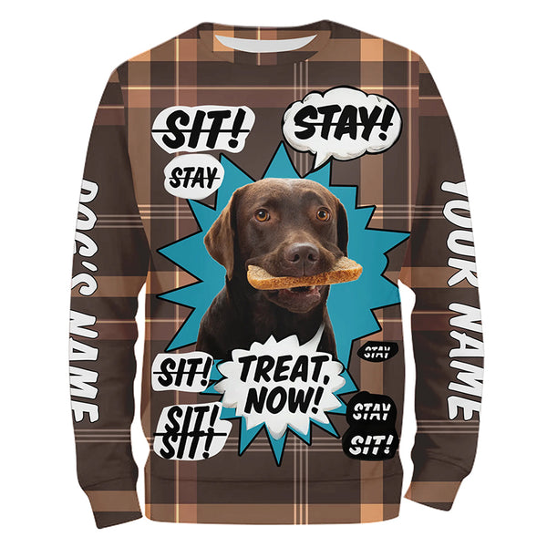 Funny Chocolate Labrador Retriever Dog training Custom Name Shirts, Labs lover shirts FSD4645