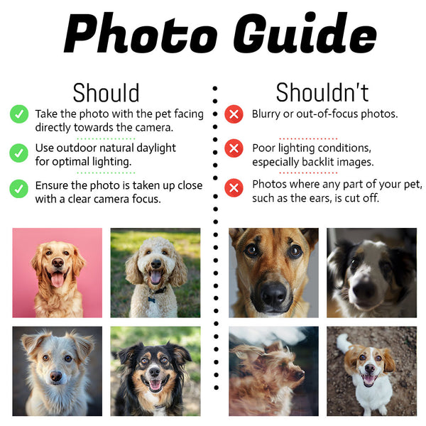 Custom Dog Photo Tie-Dye Hoodie – 3 Photo Design FSD4767