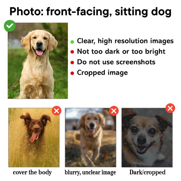 Funny Dog with Magnifying Glass Map Hoodie – Custom Dog Photo FSD4779