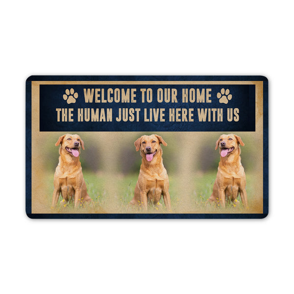 Personalized Dog Doormat| Welcome To Our Home - Custom Dog Doormat, Funny Dog Welcome Doormat, Dog Lover Gift, Dog Theme Decoration Indoor Outdoor| JDM55
